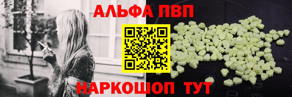 A PVP СК КРИС Аргун