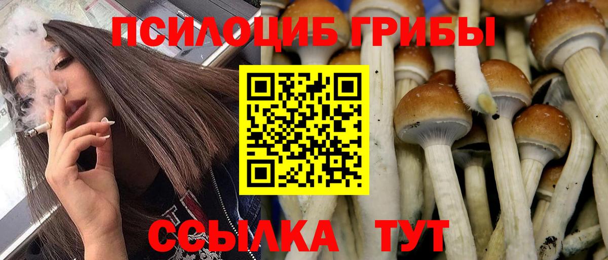 Галлюциногенные грибы мухоморы Аргун